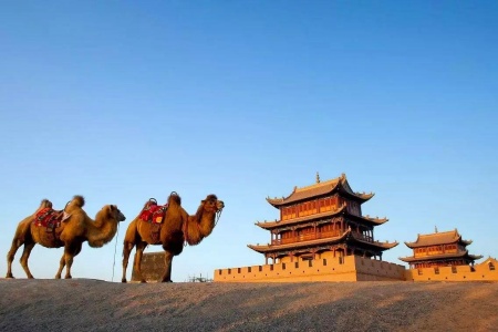 新疆シルクロード