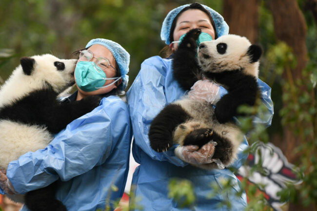 成都旅行・ツアー