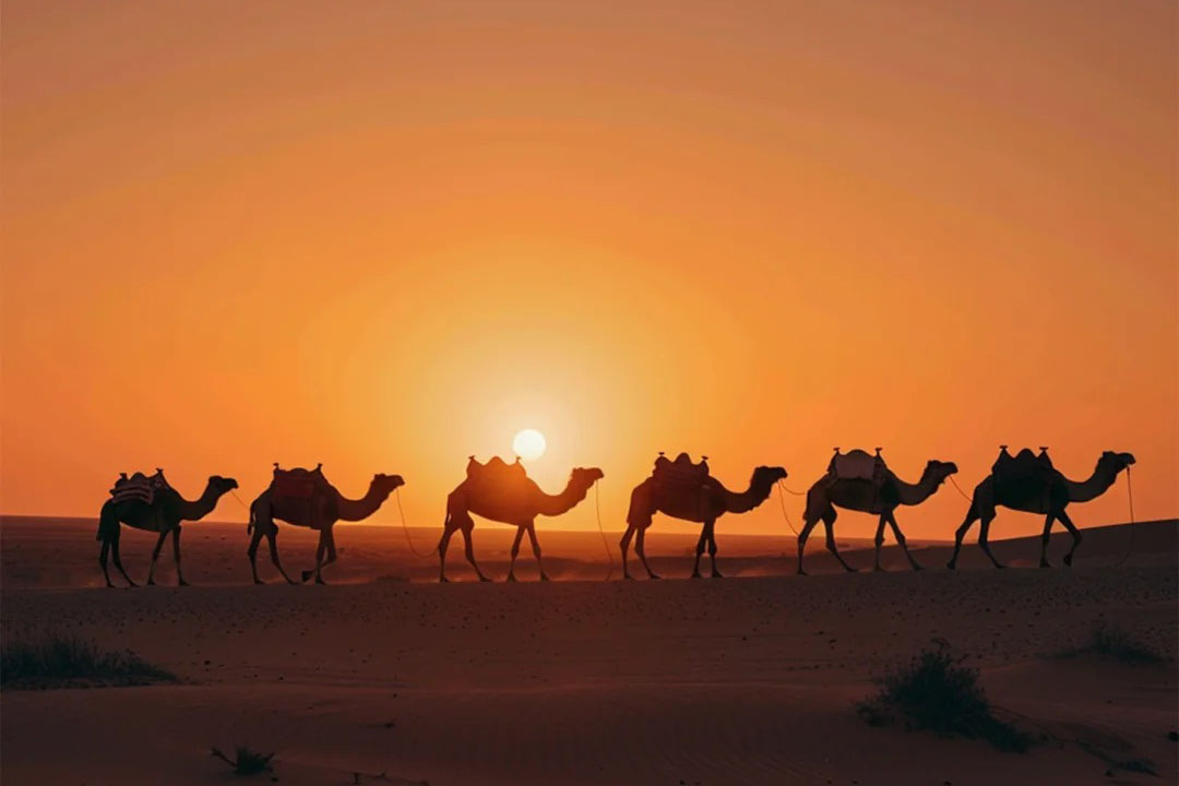 秋の敦煌観光ガイド：穏やかな気候で巡る歴史旅