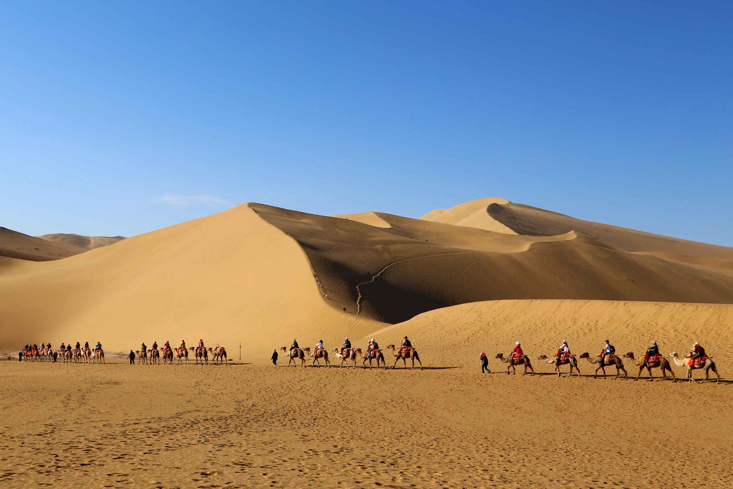 敦煌旅行・ツアー
