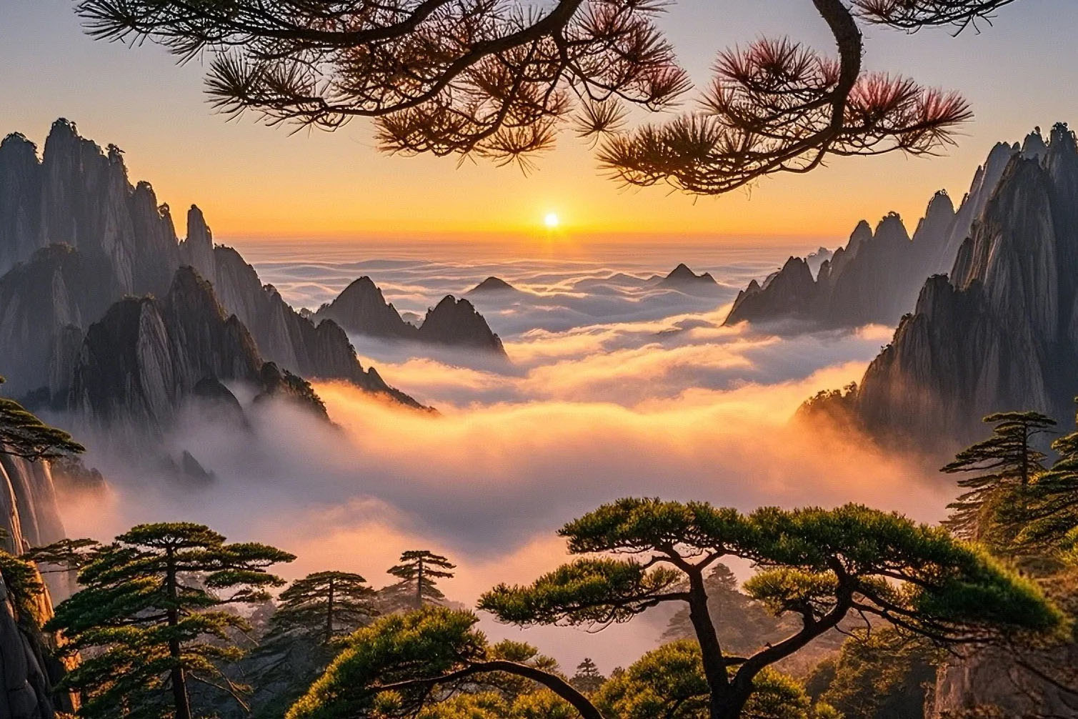 黄山旅行・ツアー