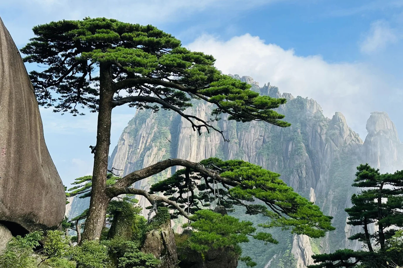 上海～黄山絶景優先ルート4日間高速鉄道で楽々