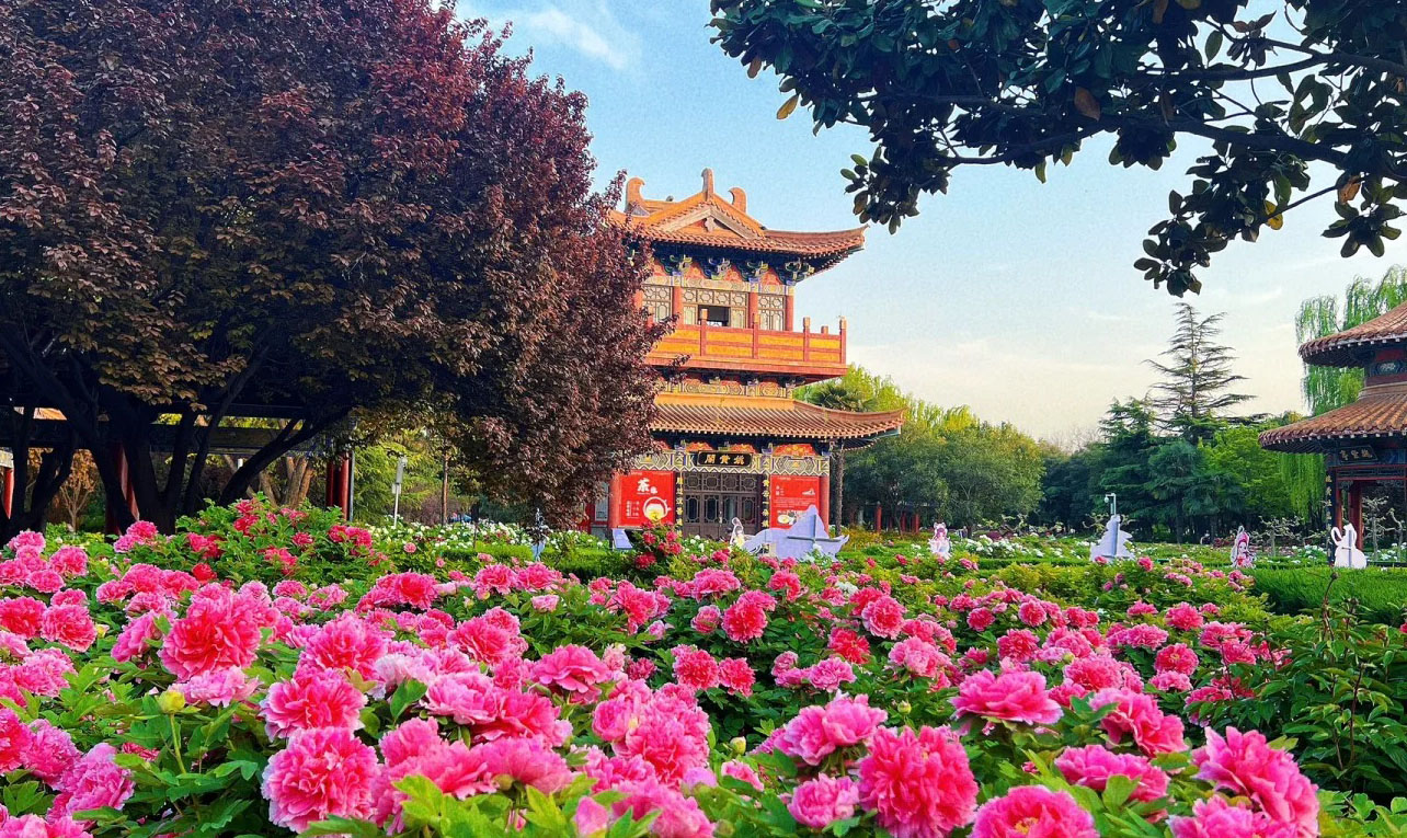 洛陽観光ガイド2025ベスト&リアル攻略|TravelChina中国旅行