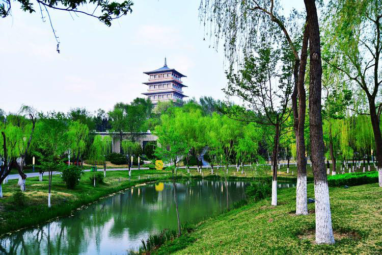 春の西安旅行：花が咲き始める美しい季節