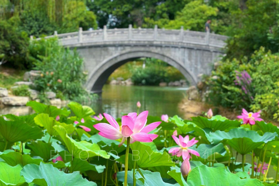 夏の西安を満喫：忘れられない旅のガイド