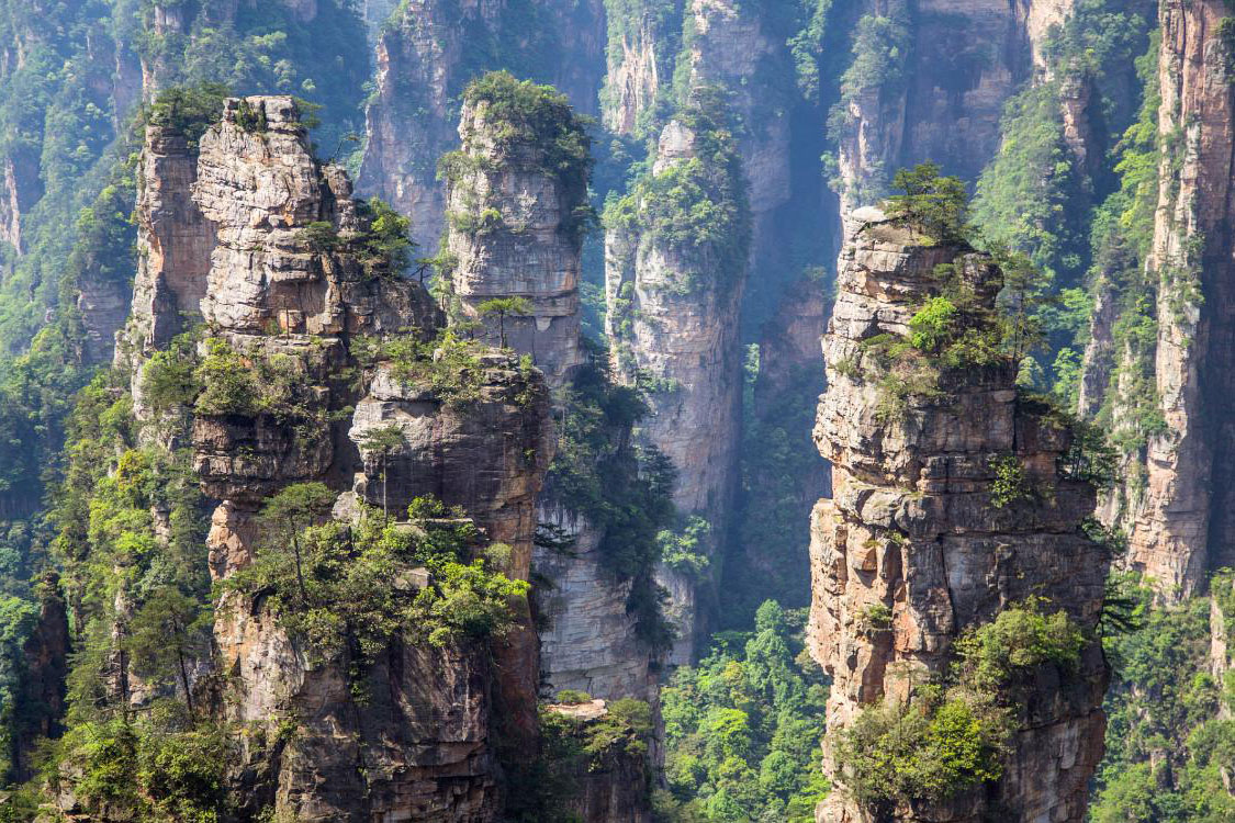 袁家界：映画『アバター』に浮かぶ山々への旅