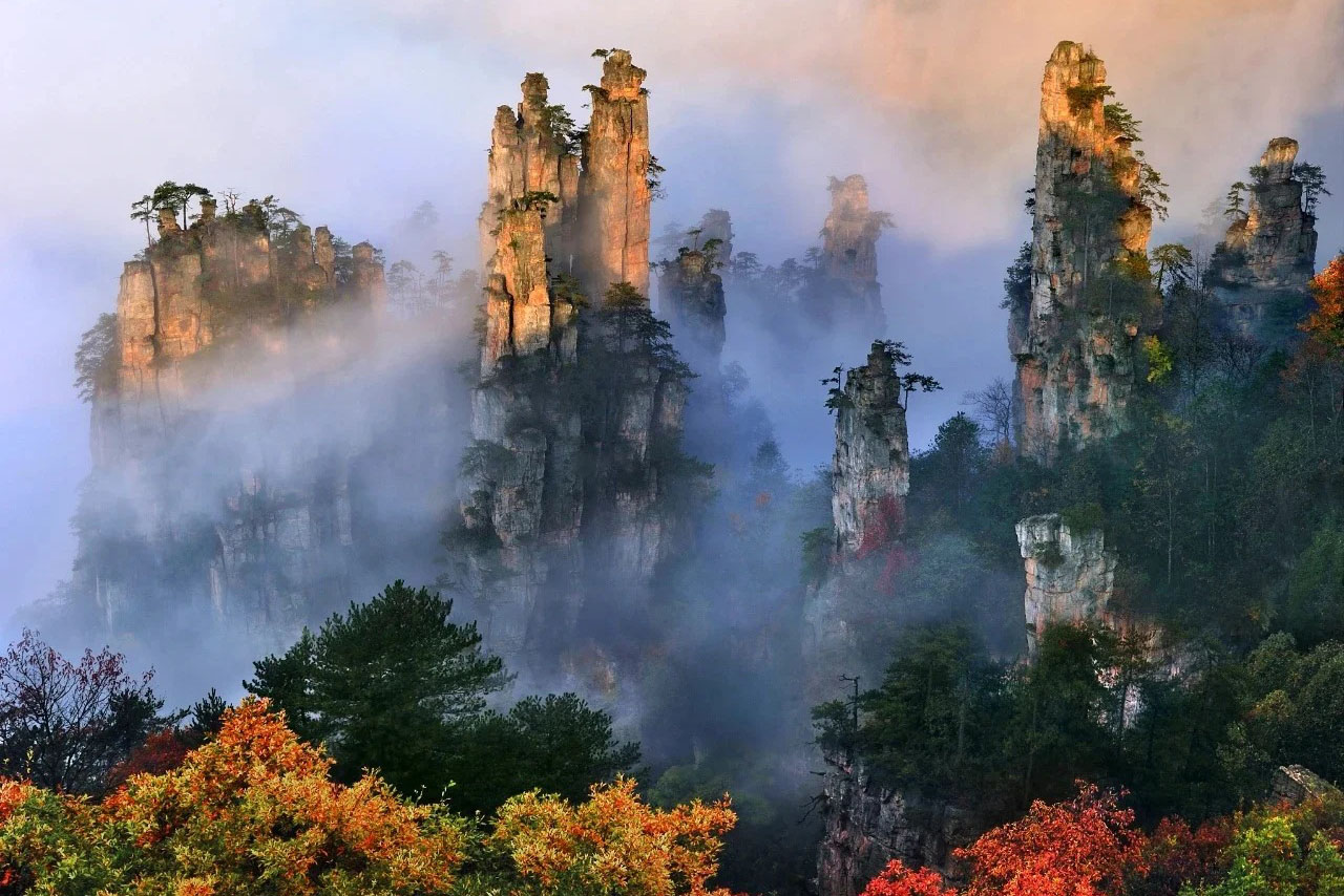 張家界の秋：秋の美しさを発見