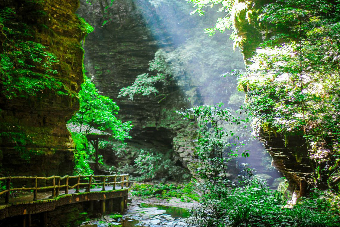 張家界大峡谷：素晴らしい景観の探訪   美しい景色を満喫