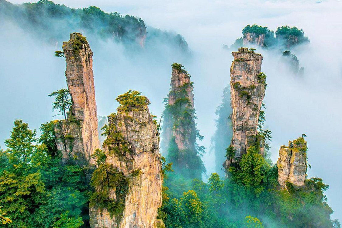 張家界ハイキング＆自然散策：絶景のトレイルを探索