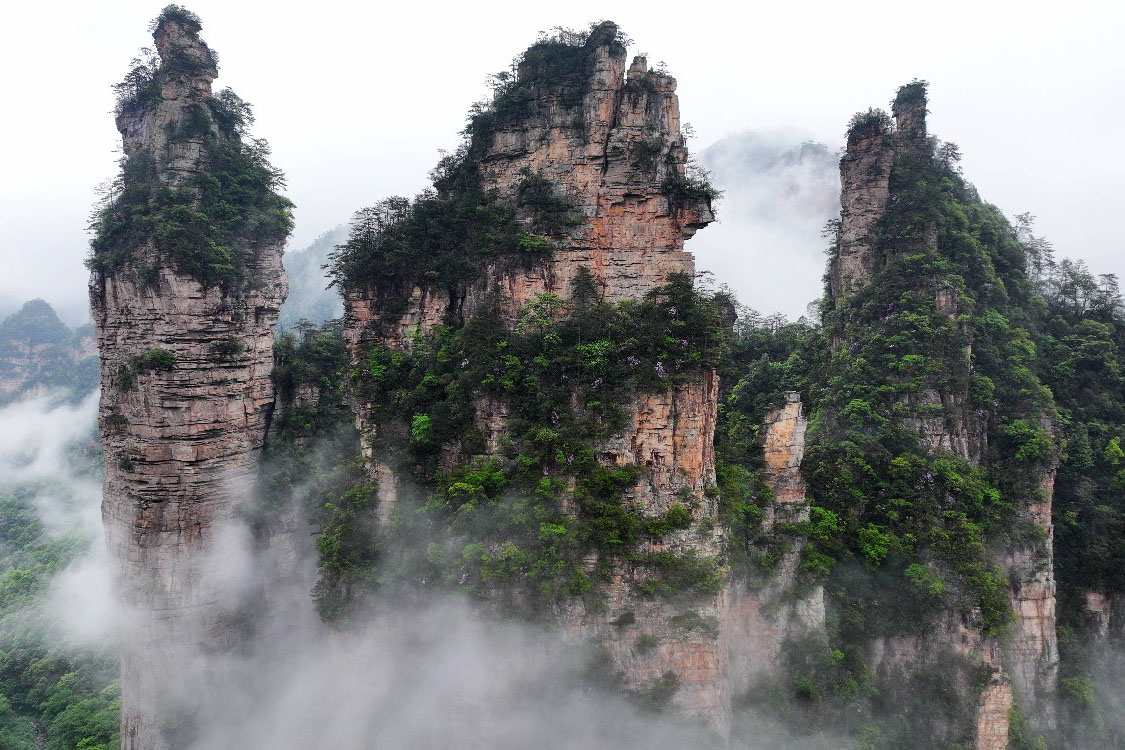 張家界国立森林公園：壮大な自然が魅力