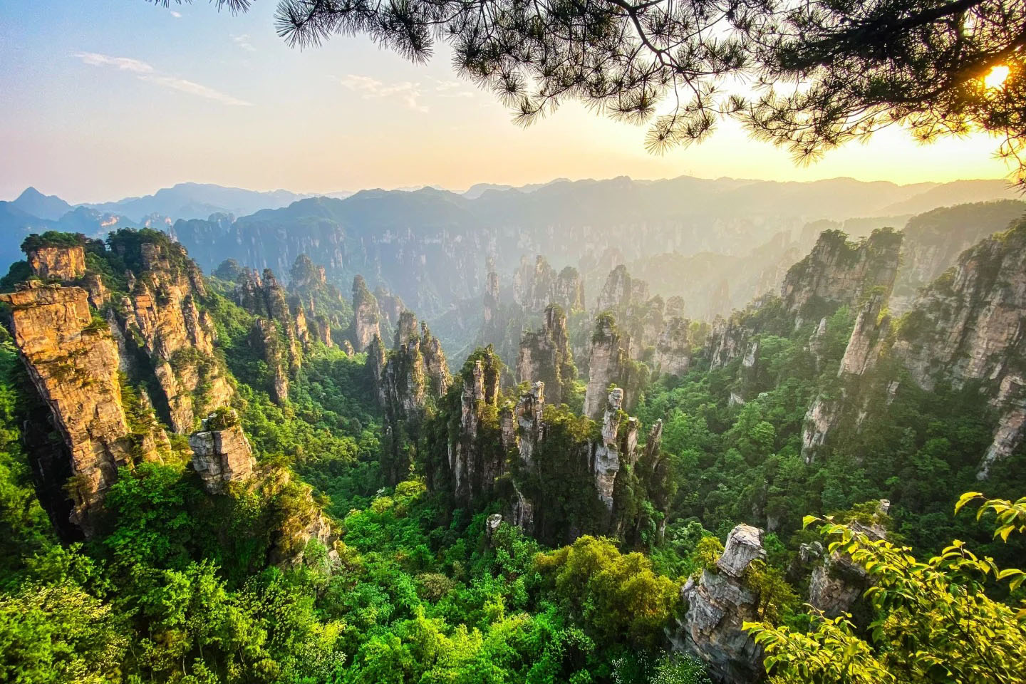 張家界の夏：自然の鮮やかな美しさを探る