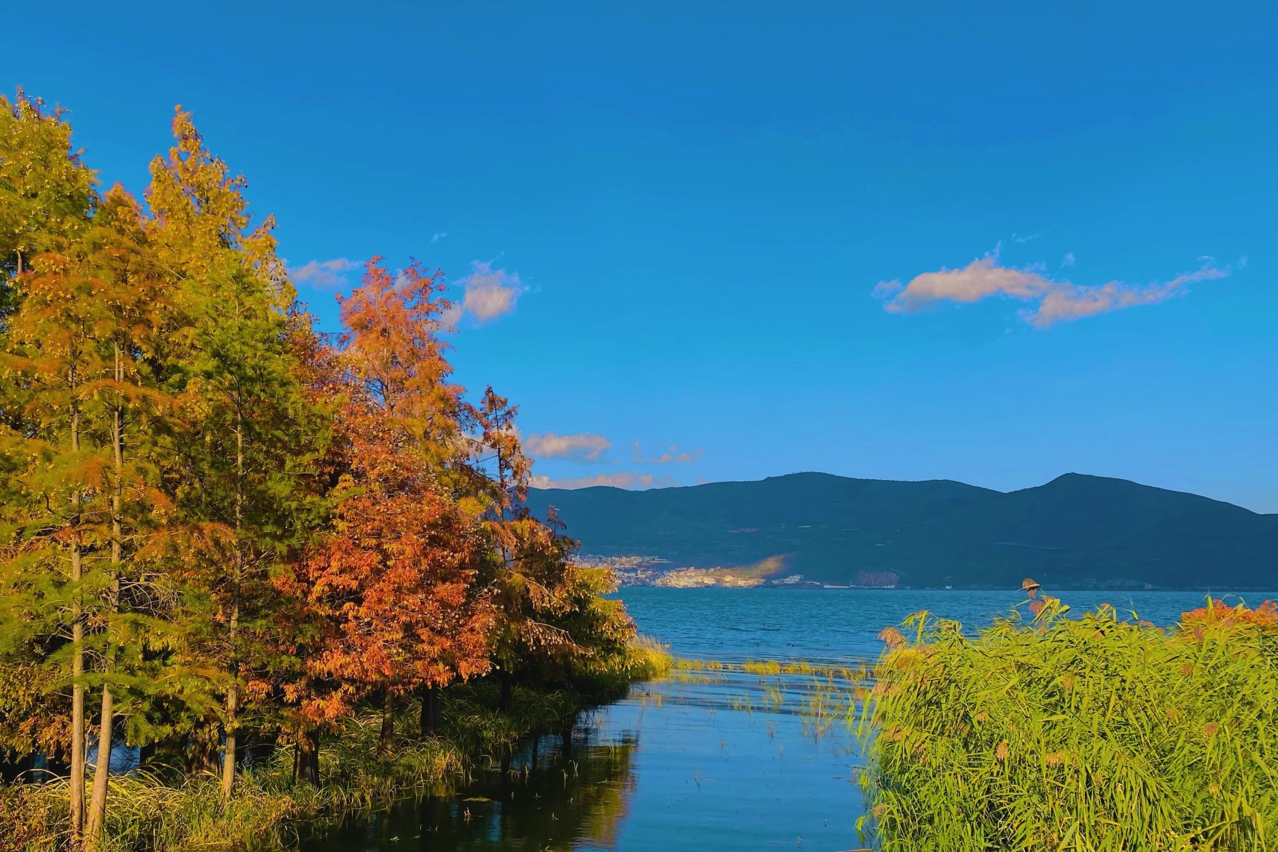 雲南の自然景色