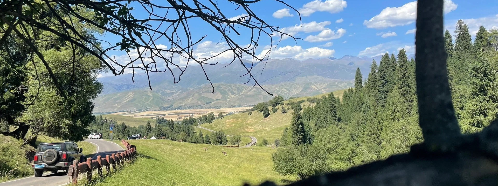 オーダーメイド