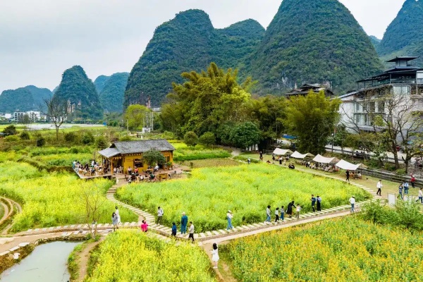 陽朔の田園風景