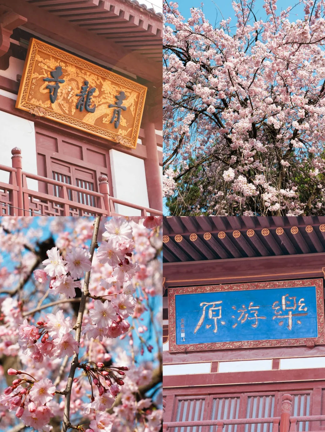 春の西安青龍寺観光・旅行