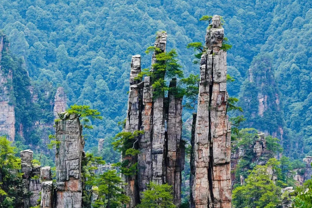 中国旅行：張家界天子山