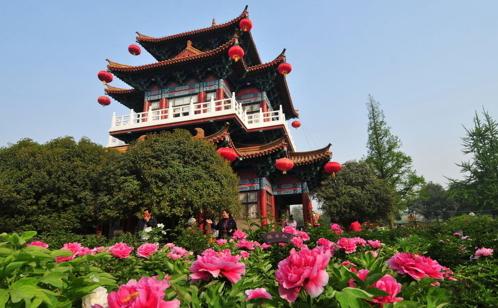 洛陽観光におすすめの絶景スポット洛陽国家牡丹園