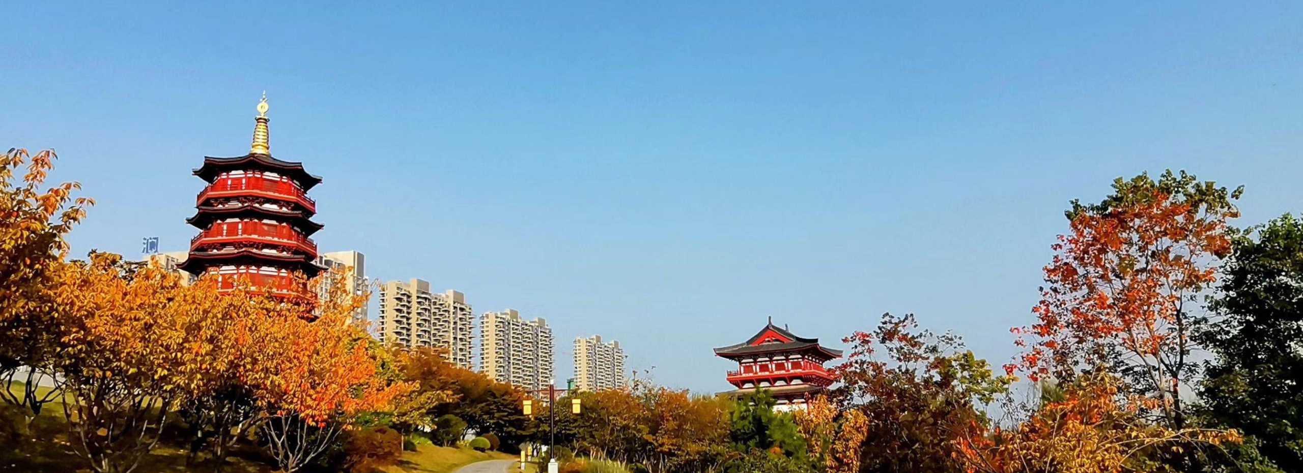 秋の洛陽観光:色づく古都で歴史と紅葉の美に浸る旅