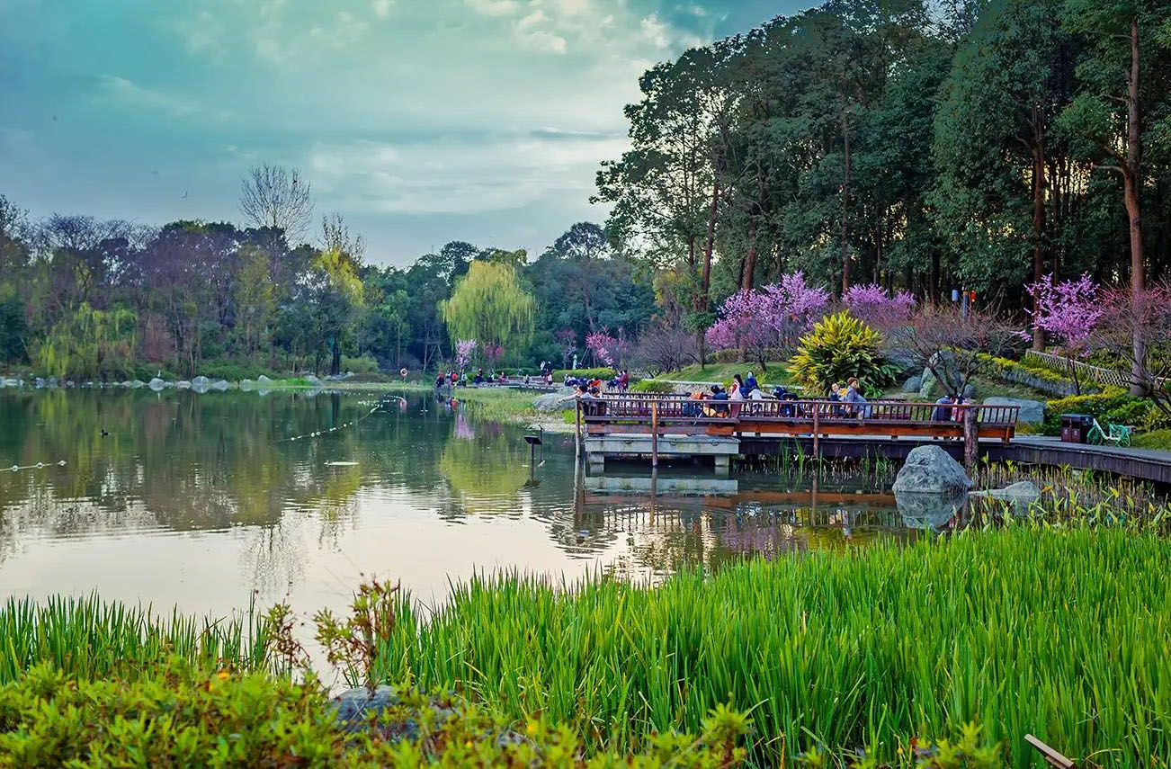 春の成都観光：浣花溪公園