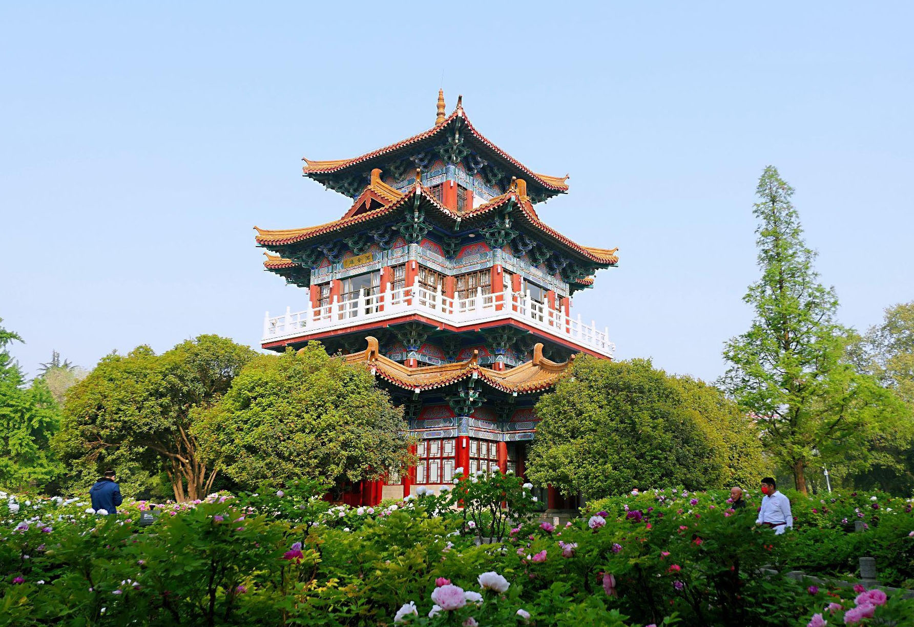 春の洛陽観光：王城公園