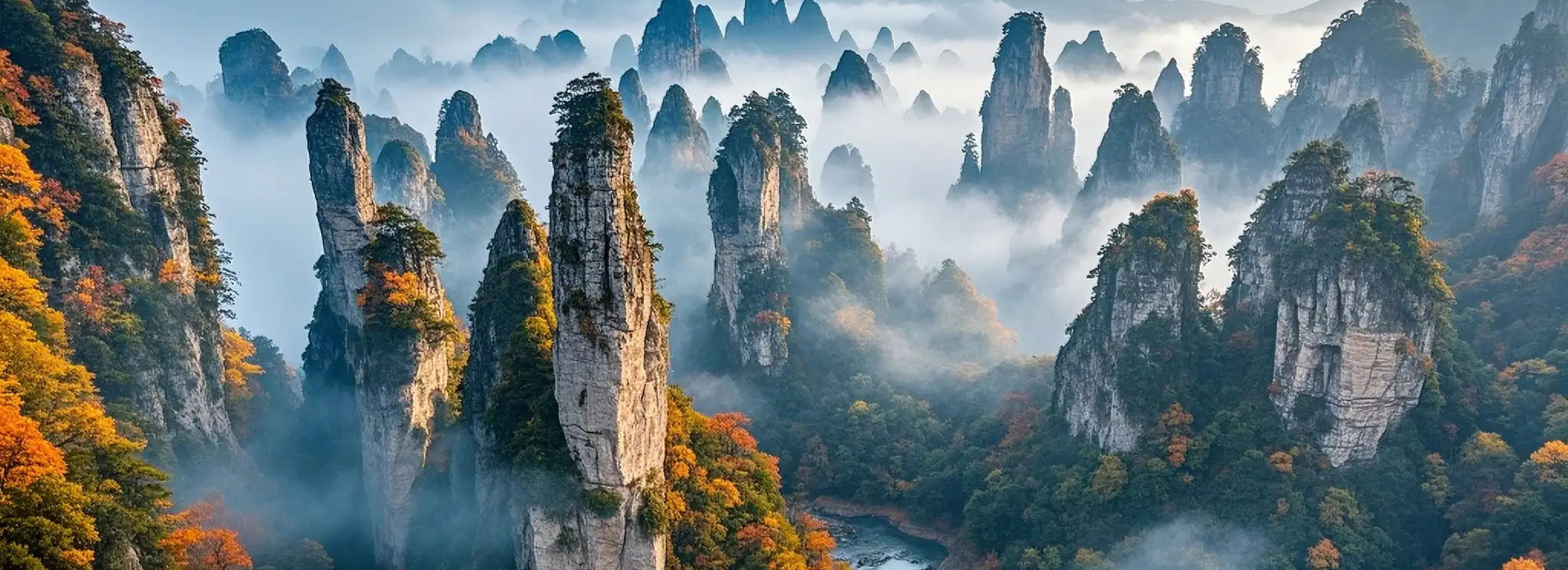 秋の張家界観光:秋の美しさを発見