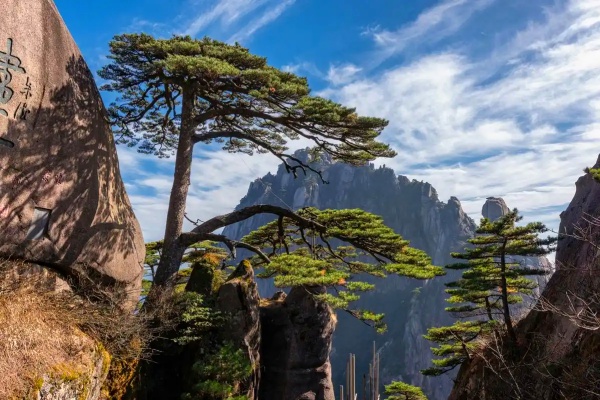 4日間の黄山ツアー