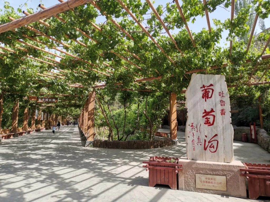 葡萄溝