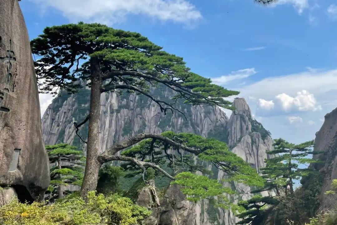 黄山ハイキングツアー