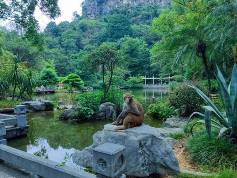 七星公園